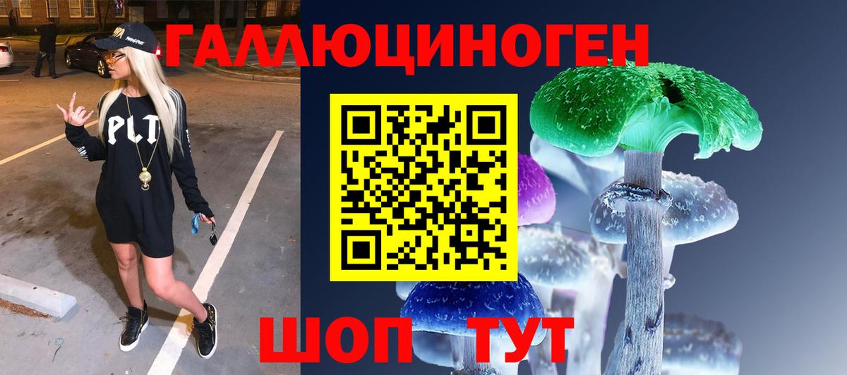 Галлюциногенные грибы GOLDEN TEACHER Слободской